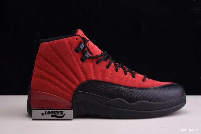 Kicktheory Jordan Game Reverse Retro Flu CT8013-602 12 Air 0715